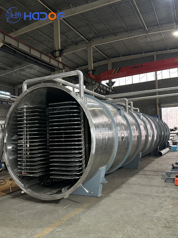 Freeze Drying Machine