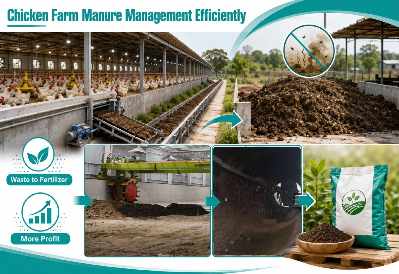 chicken farm manure management efficiently